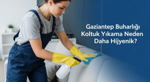 buharlı koltuk yıkama fiyatları