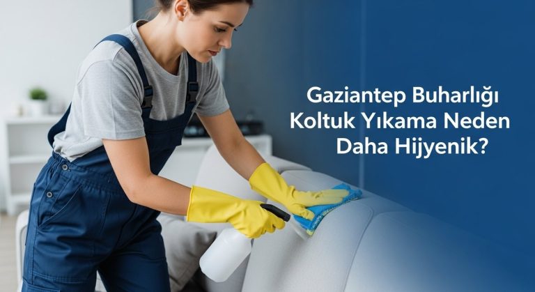 buharlı koltuk yıkama fiyatları